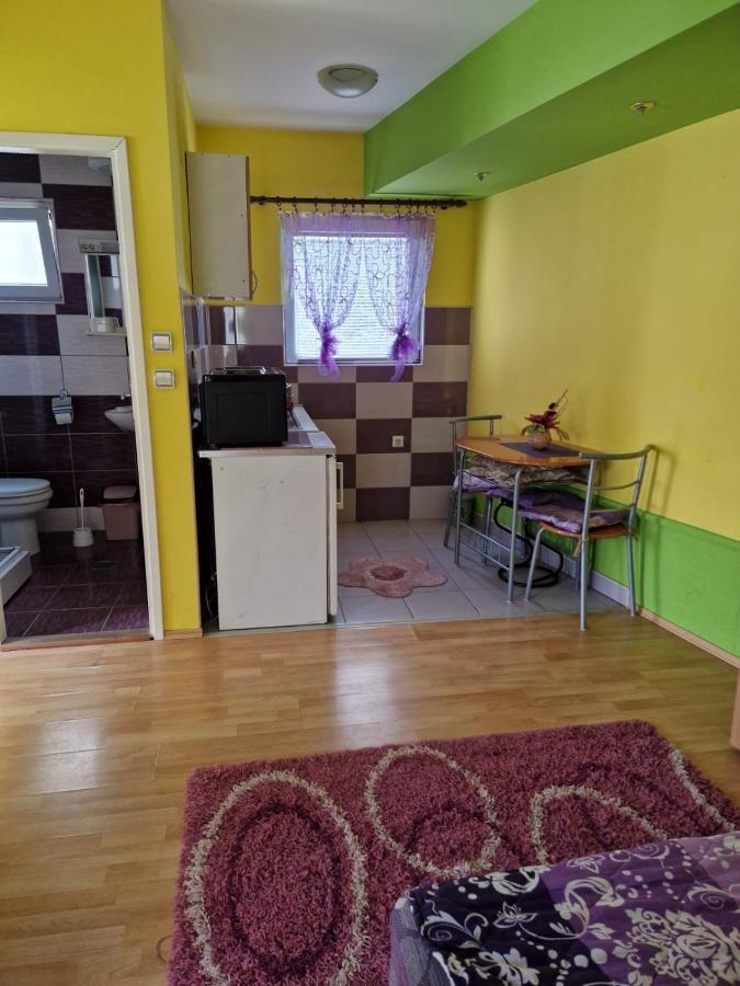 Apartments Hadzi سوكو بانيا المظهر الخارجي الصورة